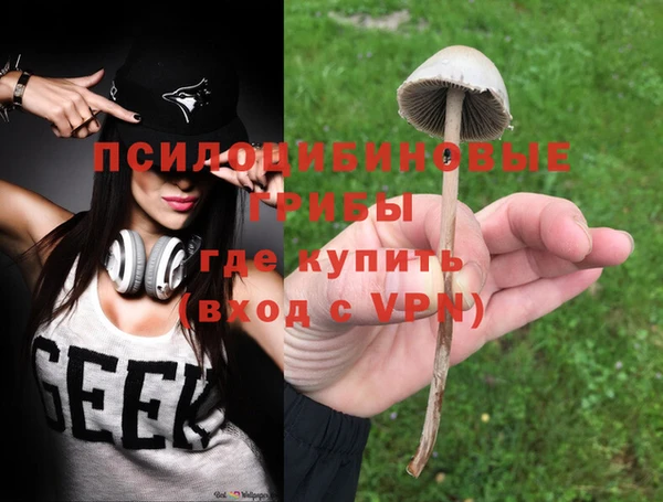 гидра Алзамай
